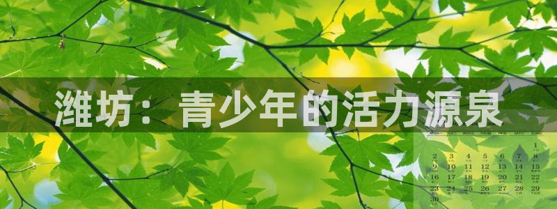 米兰体育官方正版app开户:潍坊:青少年的活力源泉